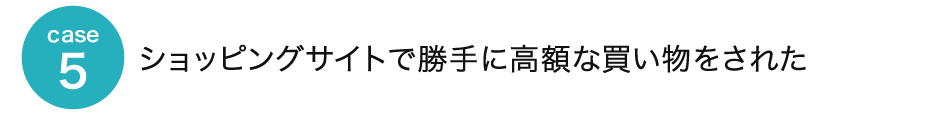 case5 ショッピングサイトで勝手に高額な買い物をされた